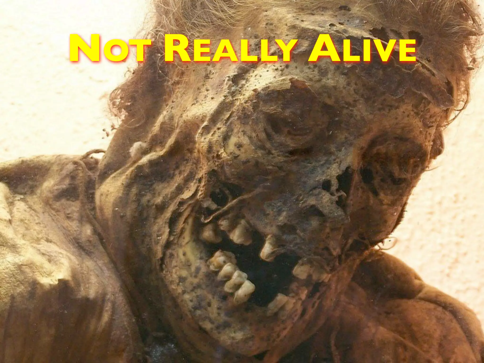 NOT REALLY ALIVE 
