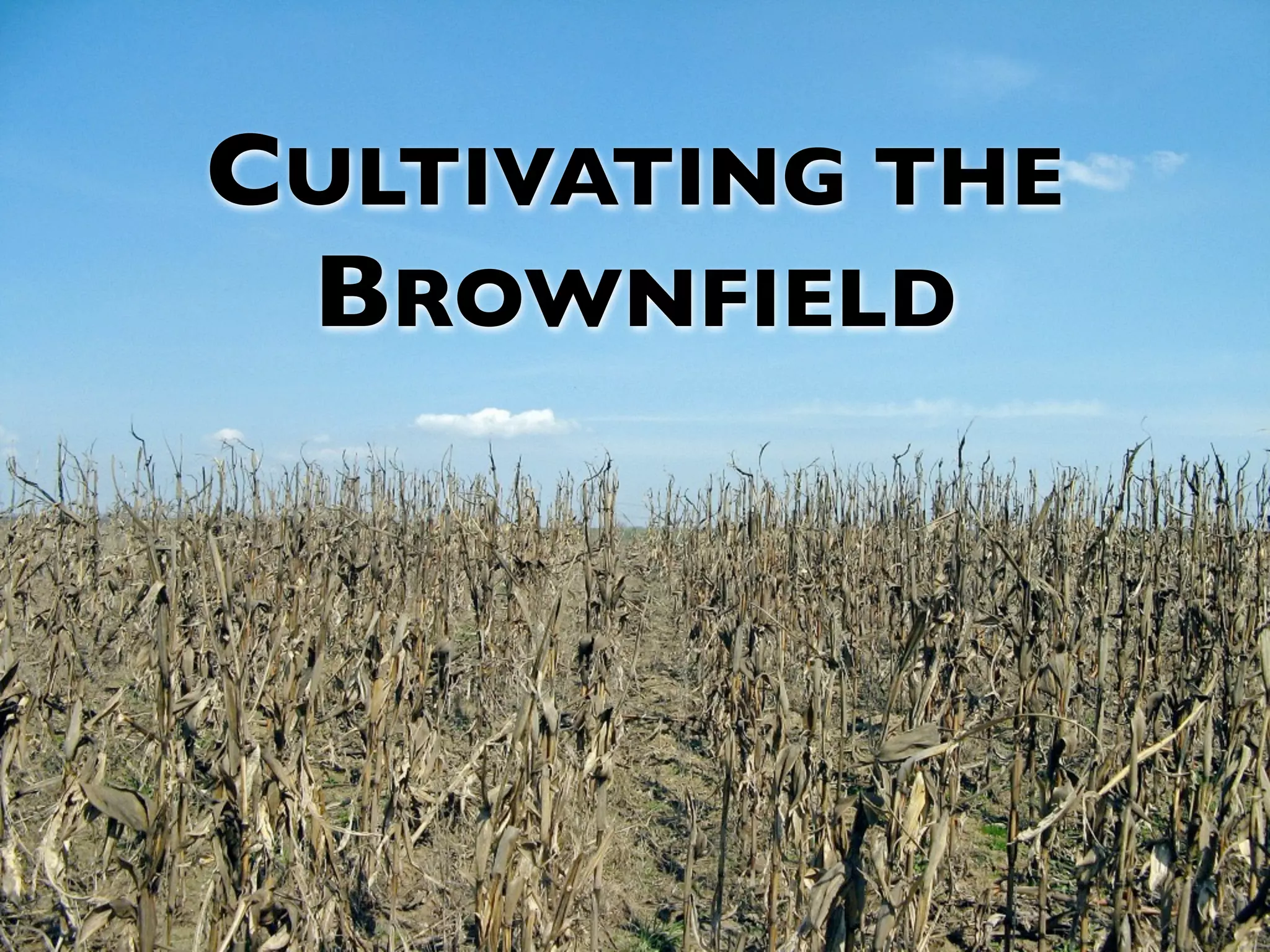 CULTIVATING THE BROWNFIELD 