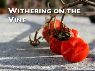 WITHERING ON THE
VINE
 