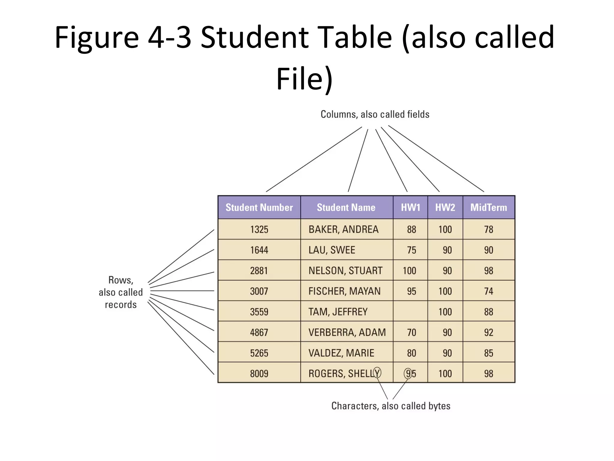 Figure 4-3 Student Table (also called File) 