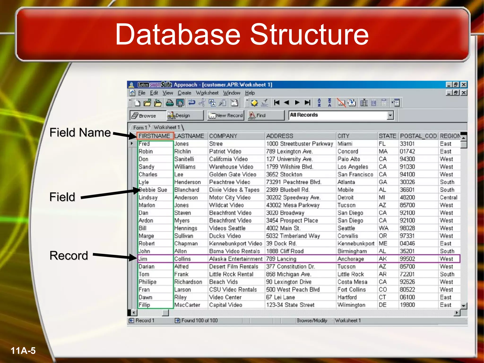 Database Structure 11A- Field Name Record Field 
