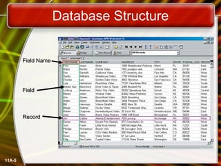 Database Structure 11A- Field Name Record Field 