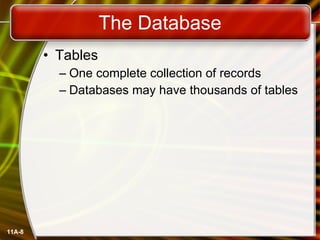 The Database Tables One complete collection of records Databases may have thousands of tables 11A- 