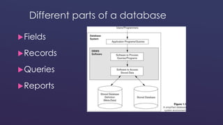 Different parts of a database 
Fields 
Records 
Queries 
Reports 
 