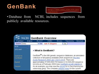 GenBank
• Database from NCBI, includes sequences from
publicly available resources.
http://www.ncbi.nlm.nih.gov
/genbank/
 