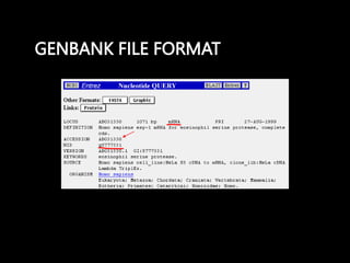 GENBANK FILE FORMAT
 