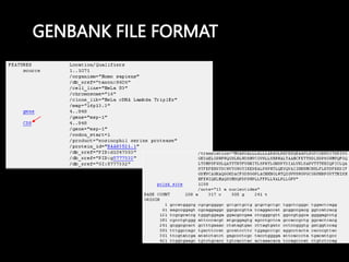GENBANK FILE FORMAT
 