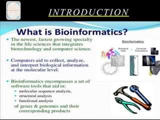 INTRODUCTION
 
