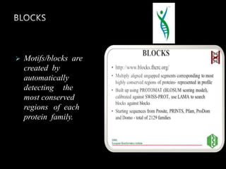  Motifs/blocks are
created by
automatically
detecting the
most conserved
regions of each
protein family.
 