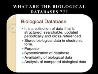 WHAT ARE THE BIOLOGICAL
DATABASES ???
 