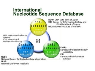 IAM: International Advisory
Meeting
ICM: International
Collaborative Meeting
International
Nucleotide Sequence Database
EMBL:
European Molecular Biology
Laboratory
EBI:
European Bioinformatics
Institute
DDBJ: DNA Data Bank of Japan
CIB: Center for Information Biology and
DNA Data Bank of Japan
NIG: National Institute of Genetics
NCBI:
National Center for Biotechnology Information
NLM:
National Library of Medicine
 