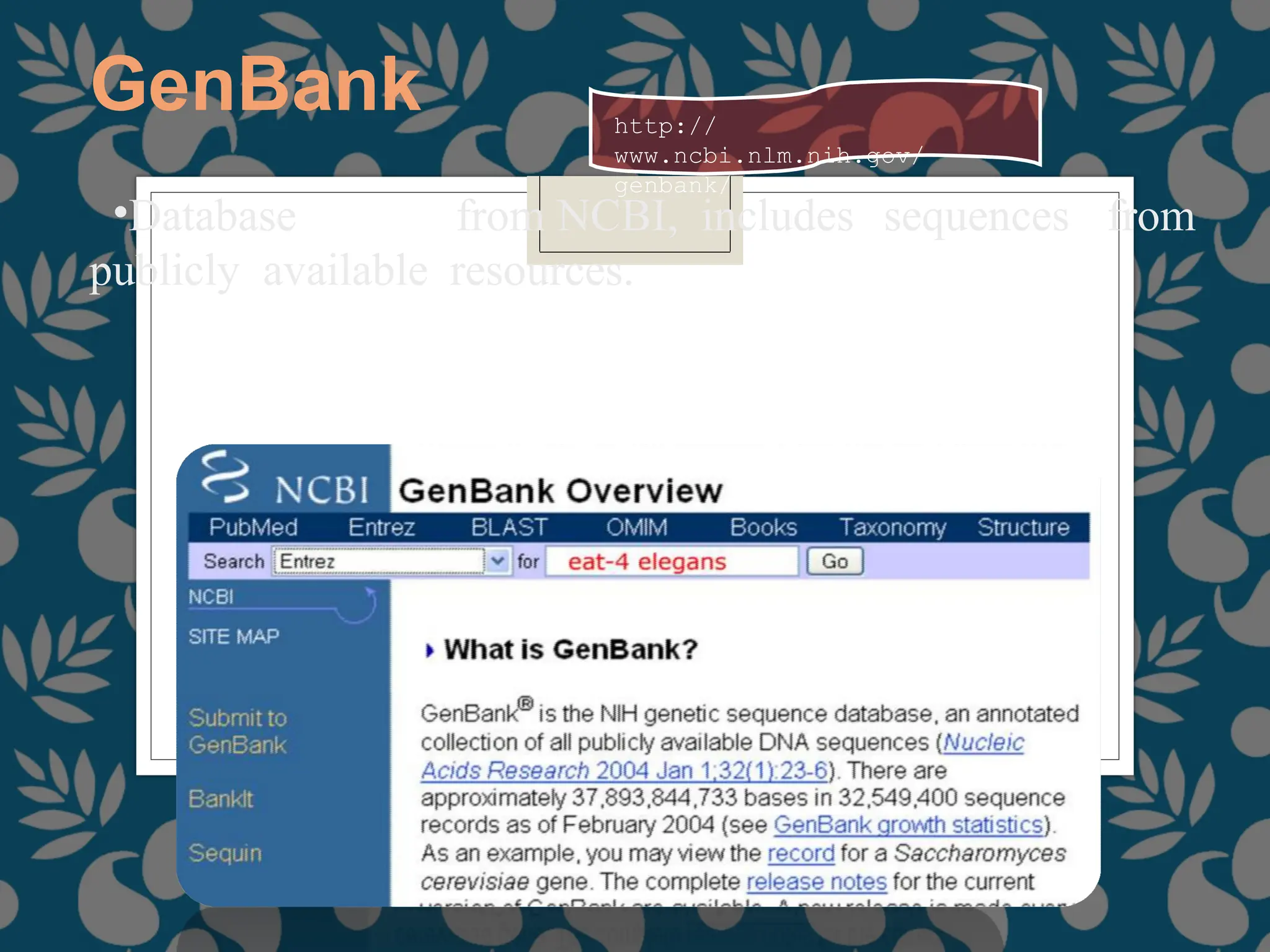 GenBank
•Database from NCBI, includes sequences from
publicly available resources.
http://
www.ncbi.nlm.nih.gov/
genbank/
 