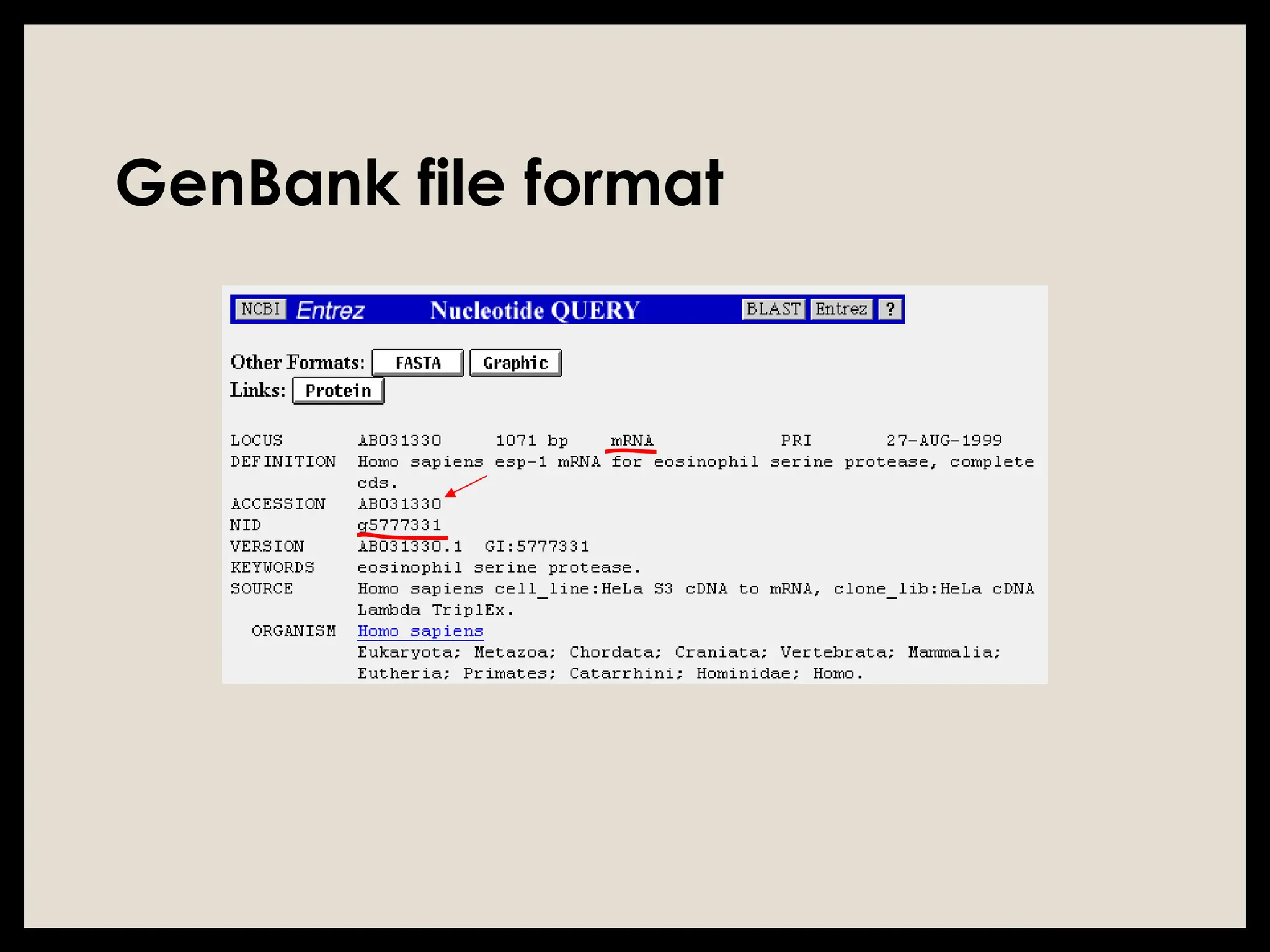 GenBank file format
 