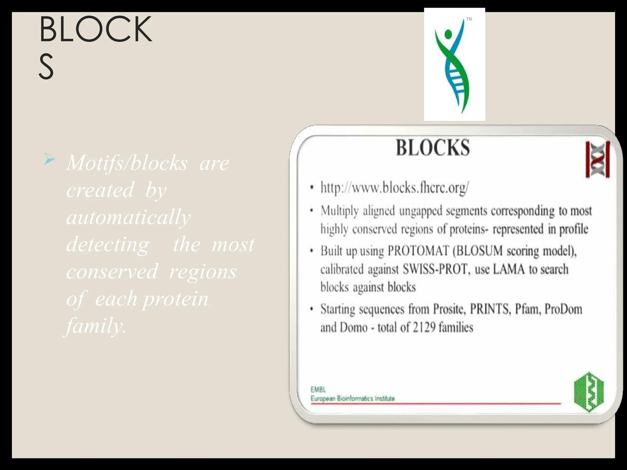 BLOCK
S
 Motifs/blocks are
created by
automatically
detecting the most
conserved regions
of each protein
family.
 