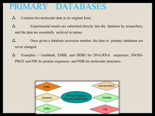 PRIMARY DATABASES
 Contains bio-molecular data in its original form.
 Experimental results are submitted directly into the database by researchers,
and the data are essentially archival in nature.
 Once given a database accession number, the data in primary databases are
never changed.
 Examples :- GenBank, EMBL and DDBJ for DNA/RNA sequences, SWISS-
PROT and PIR for protein sequences and PDB for molecular structures.
 