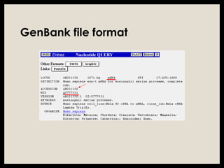 GenBank file format
 