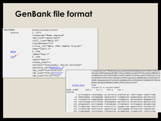 GenBank file format
 