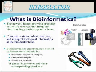 INTRODUCTION
 