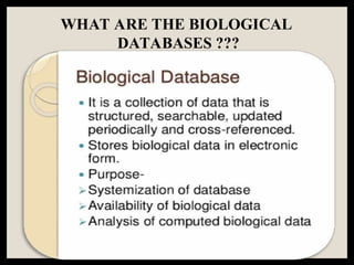 WHAT ARE THE BIOLOGICAL
DATABASES ???
 