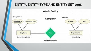 ENTITY, ENTITYTYPE AND ENTITY SET cont.
 