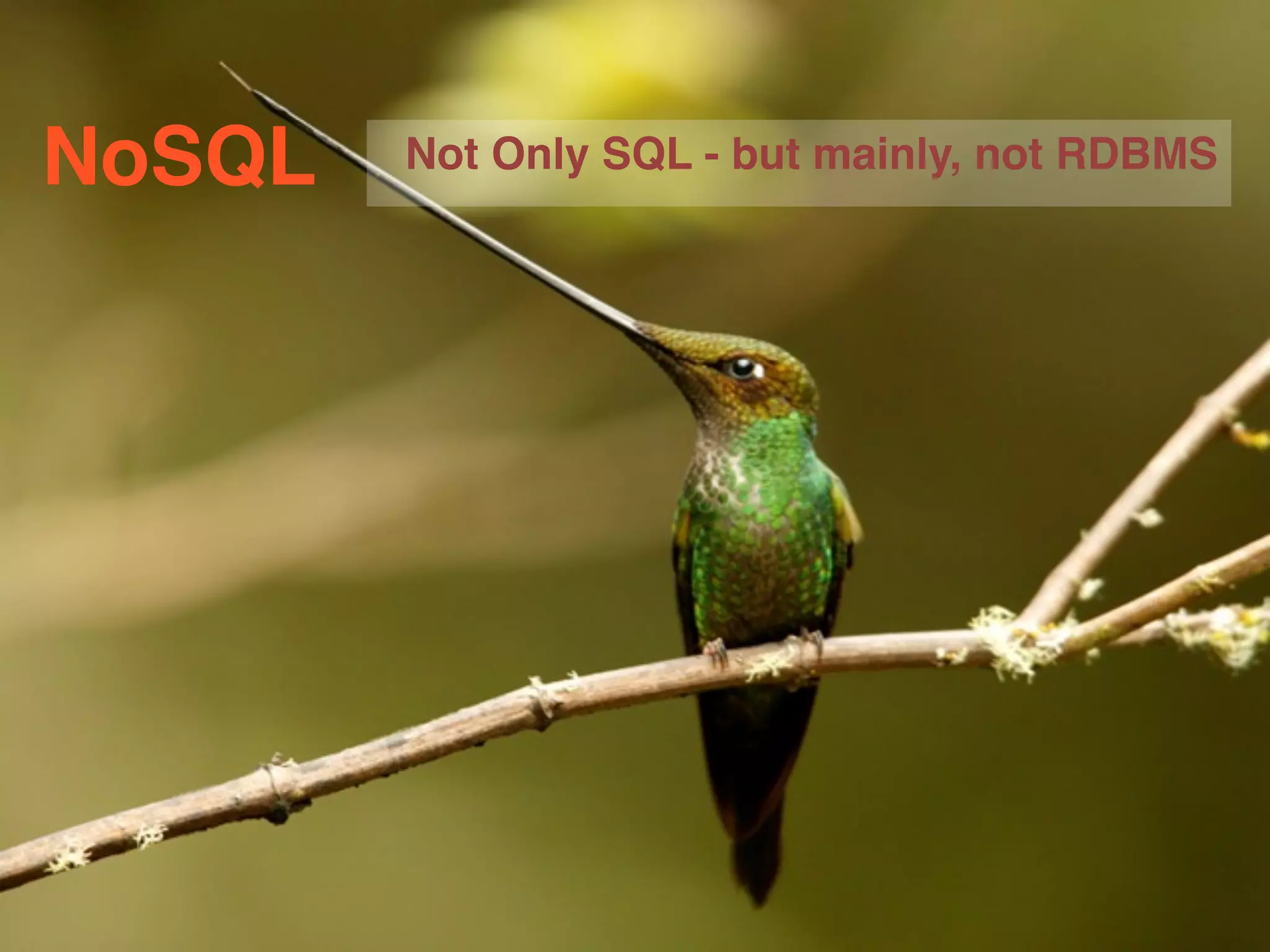 NoSQL Not Only SQL - but mainly, not RDBMS 
 