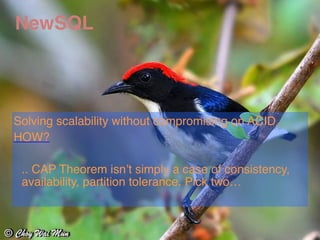 NewSQL 
Solving scalability without compromising on ACID 
HOW? 
.. CAP Theorem isn’t simply a case of consistency, 
availability, partition tolerance. Pick two… 
 