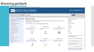 Browsing genbank
 