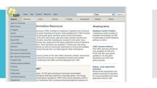 TheArabidopsis Information Resource
 