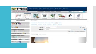 DATABASES (1).pdf bio informatics  for colleges.