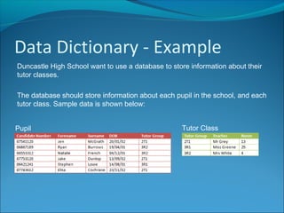 Data Dictionary | PPT | Databases | Computer Software and Applications