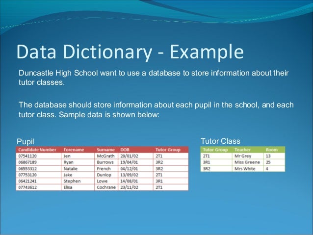 Data Dictionary