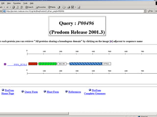 UniProt
• New protein sequence database that is the result of a
merge from SWISS-PROT and PIR. It will be the
annotated cu...