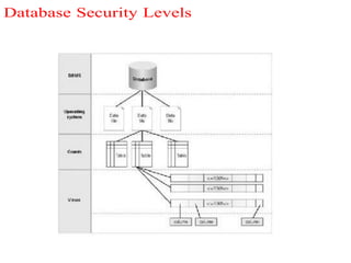 Database security 12.pdf