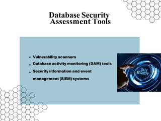 Database Security Assessment | Database Security Assessment Services | PPTX