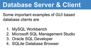 What is a database server and client ? | PDF