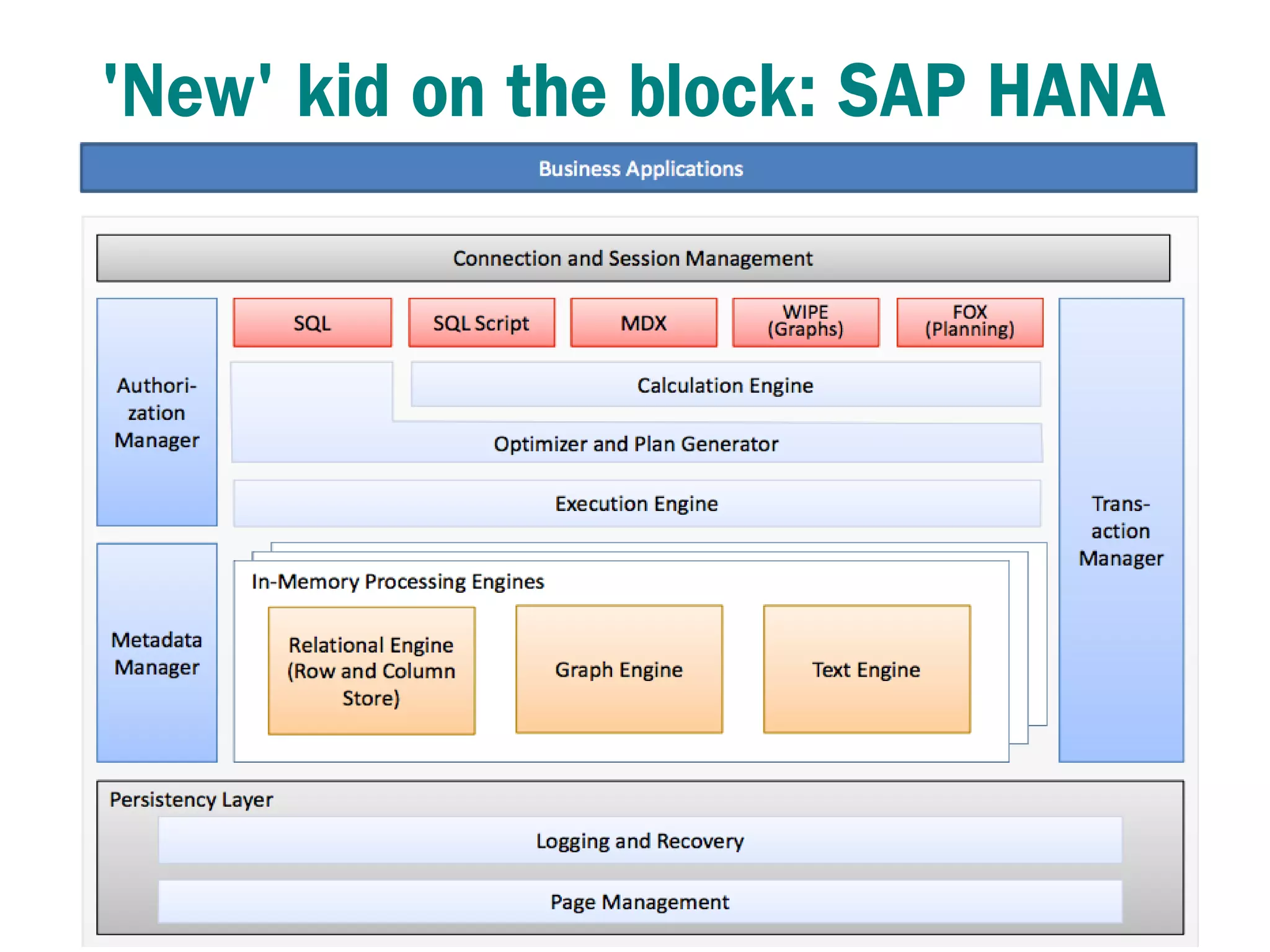 'New' kid on the block: SAP HANA
 