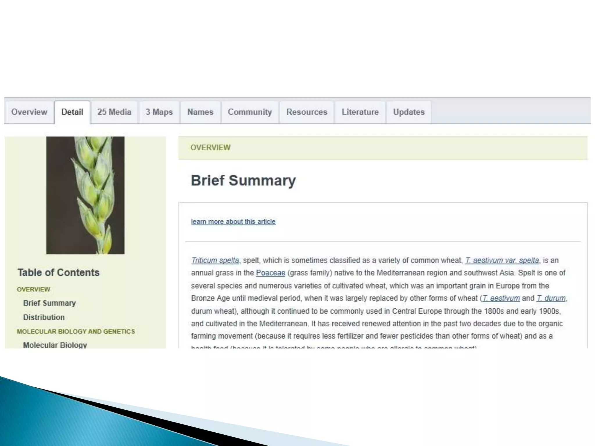 Databases Part Ii Pptx