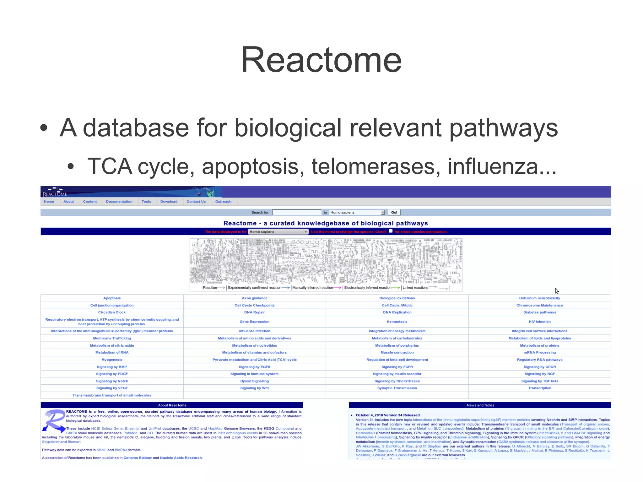 Reactome
●   A database for biological relevant pathways
    ●   TCA cycle, apoptosis, telomerases, influenza...
 