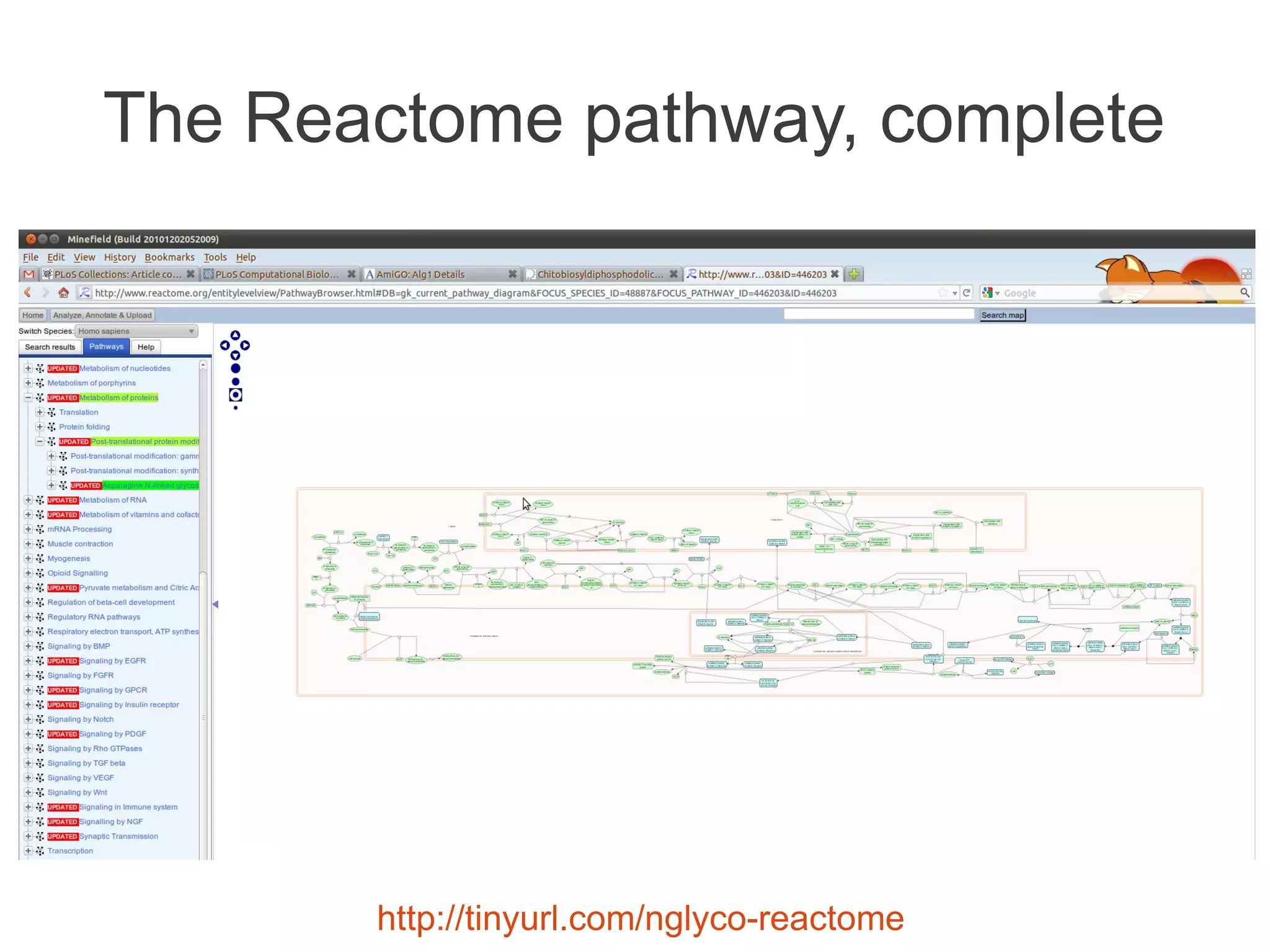 The Reactome pathway, complete




       http://tinyurl.com/nglyco-reactome
 