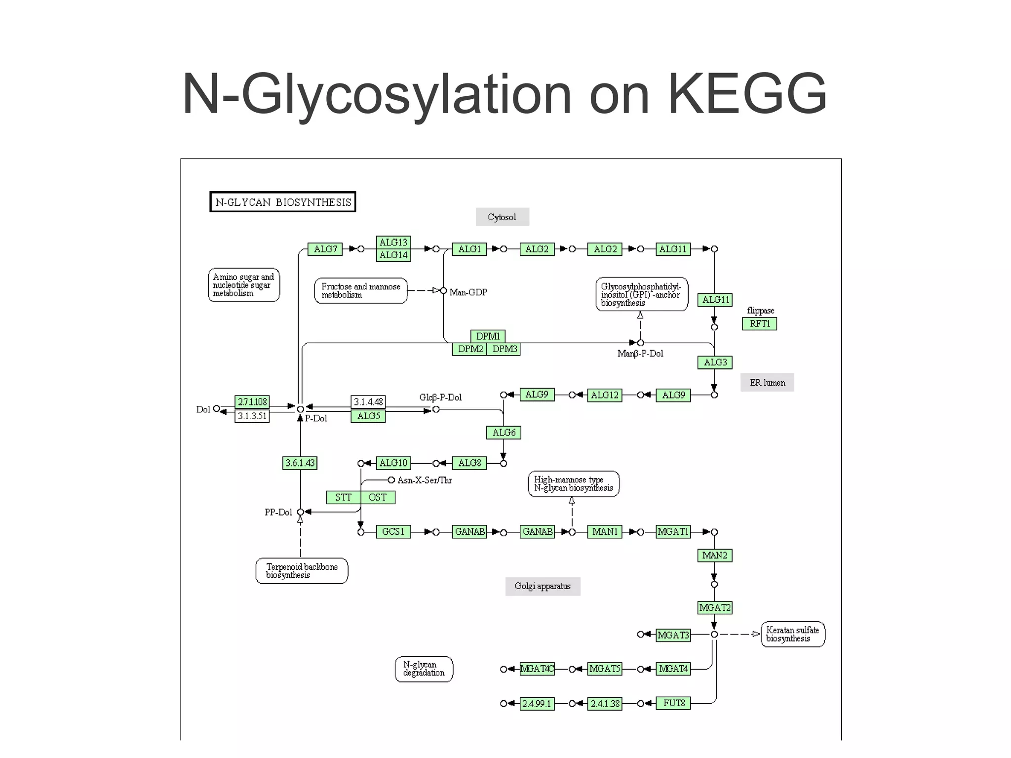 N-Glycosylation on KEGG
 