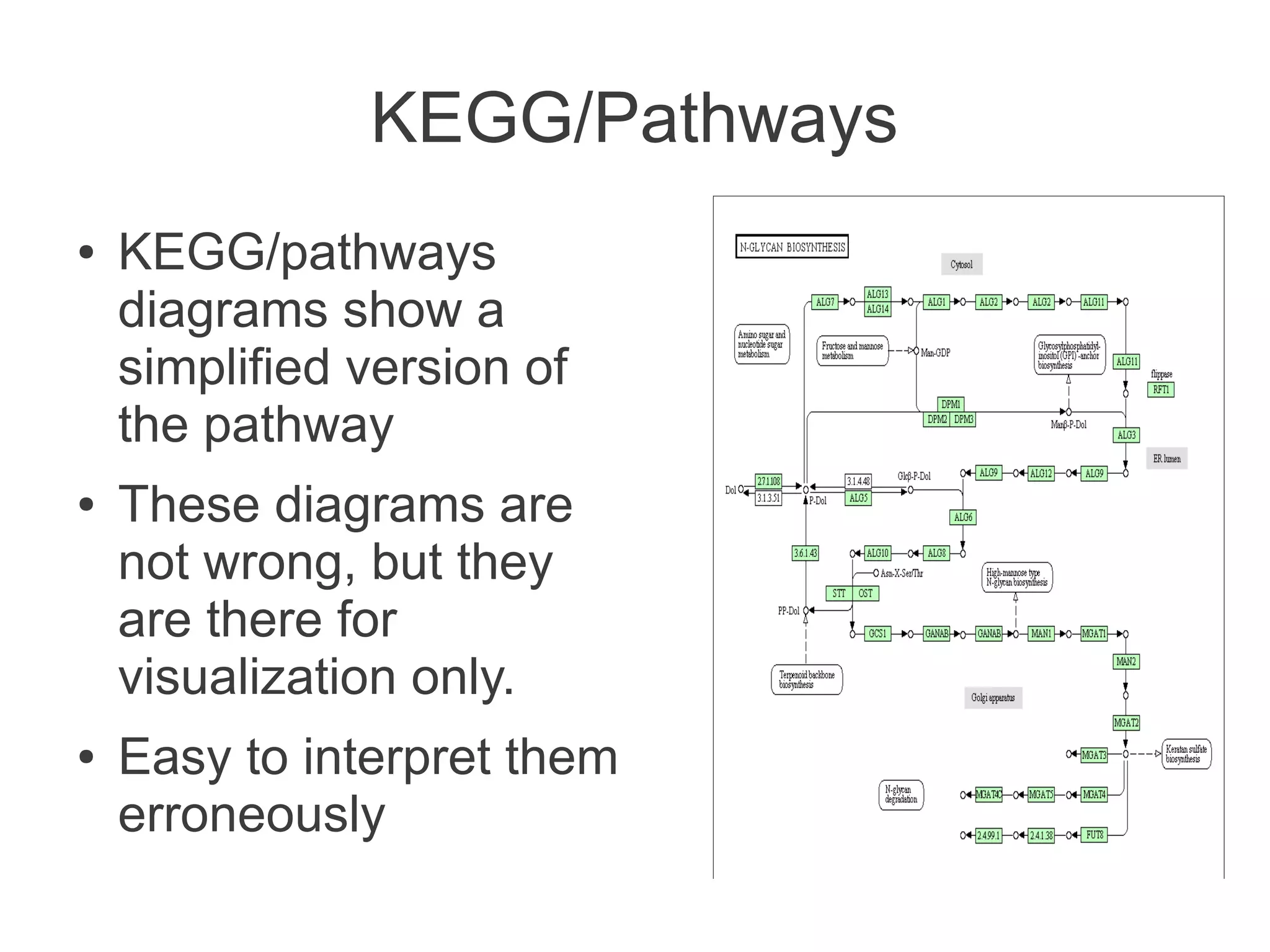 KEGG/Pathways
●   KEGG/pathways
    diagrams show a
    simplified version of
    the pathway
●   These diagrams are
    not wrong, but they
    are there for
    visualization only.
●   Easy to interpret them
    erroneously
 