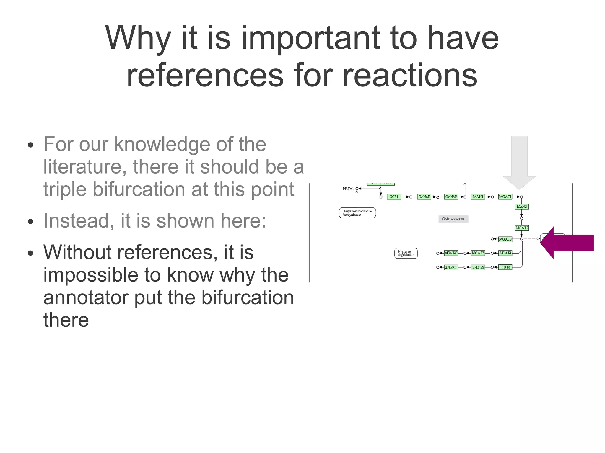Why it is important to have
            references for reactions
●   For our knowledge of the
    literature, there it should be a
    triple bifurcation at this point
●   Instead, it is shown here:
●   Without references, it is
    impossible to know why the
    annotator put the bifurcation
    there
 