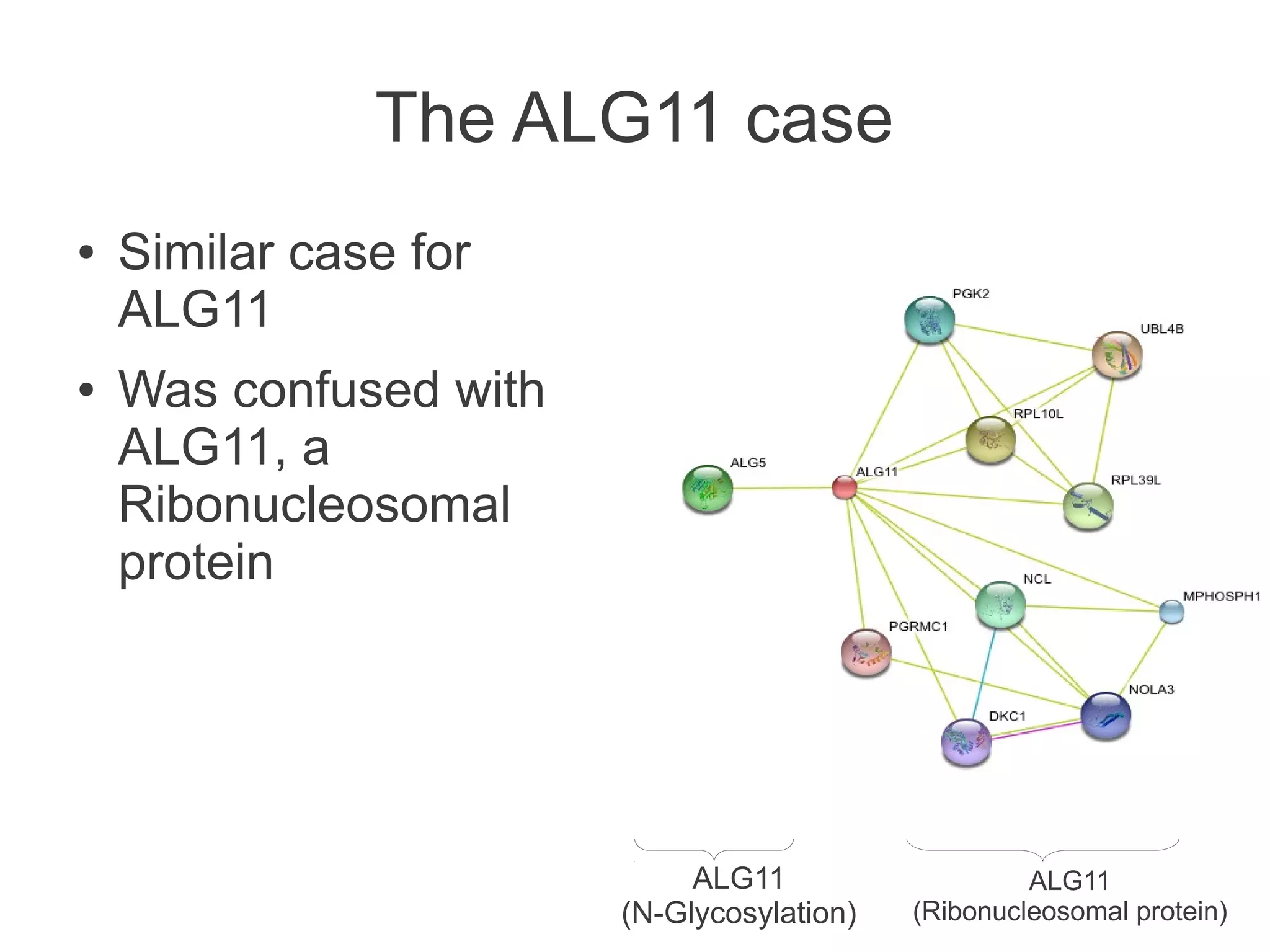 The ALG11 case
●   Similar case for
    ALG11
●   Was confused with
    ALG11, a
    Ribonucleosomal
    protein




                             ALG11                   ALG11
                        (N-Glycosylation)   (Ribonucleosomal protein)
 