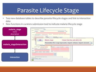 Parasite Lifecycle Stage
malaria_stage
name
description
malaria_stage2interaction
interaction
• Two new database tables to describe parasite lifecycle stages and link to interaction
data
• New functions in curators submission tool to indicate malaria lifecycle stage
 