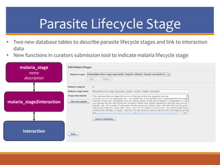 Parasite Lifecycle Stage
malaria_stage
name
description
malaria_stage2interaction
interaction
• Two new database tables to describe parasite lifecycle stages and link to interaction
data
• New functions in curators submission tool to indicate malaria lifecycle stage
 