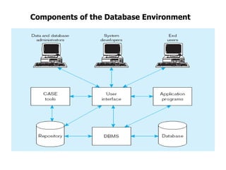 Components of the Database Environment
 