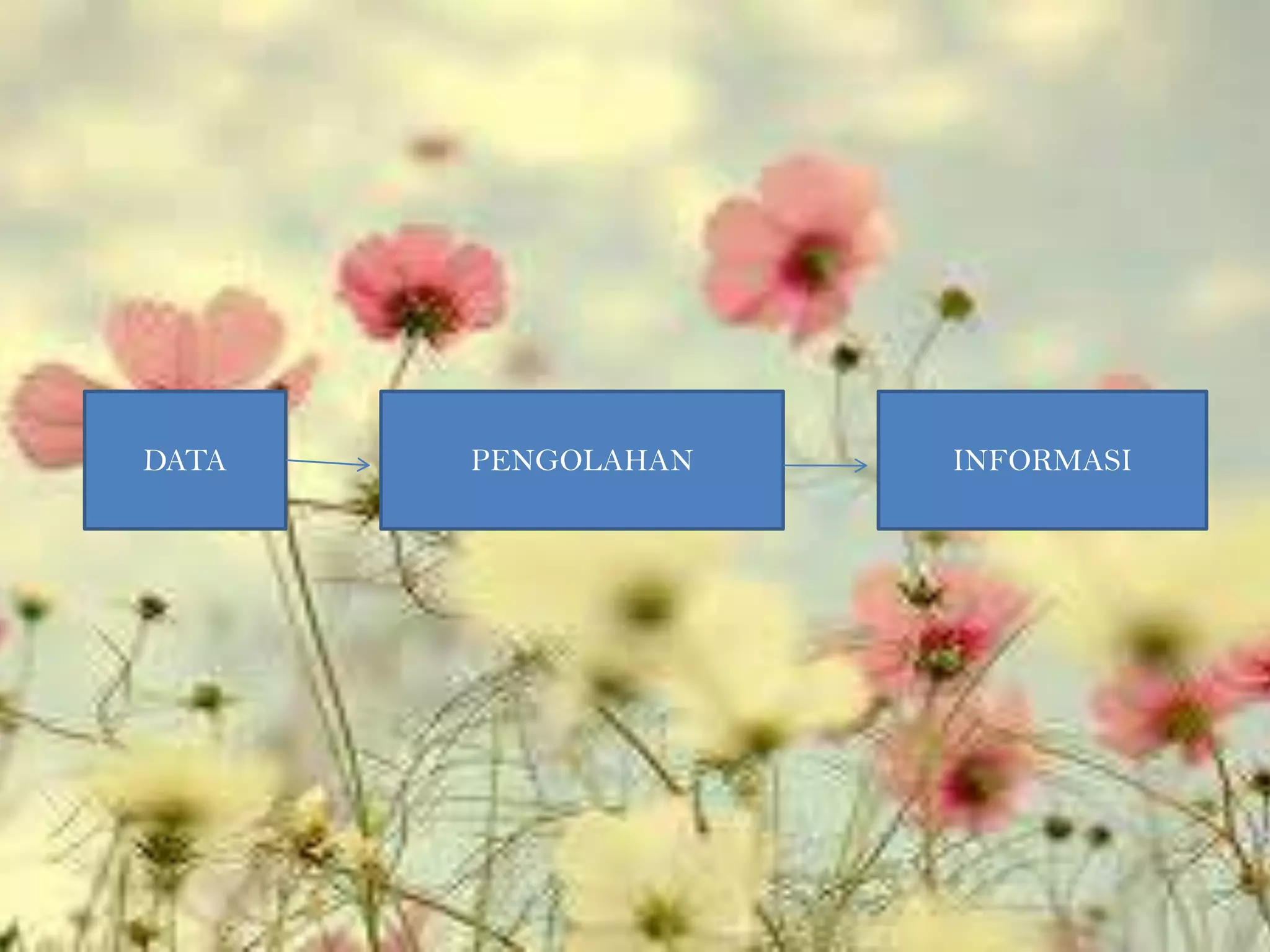 DATA   PENGOLAHAN   INFORMASI
 