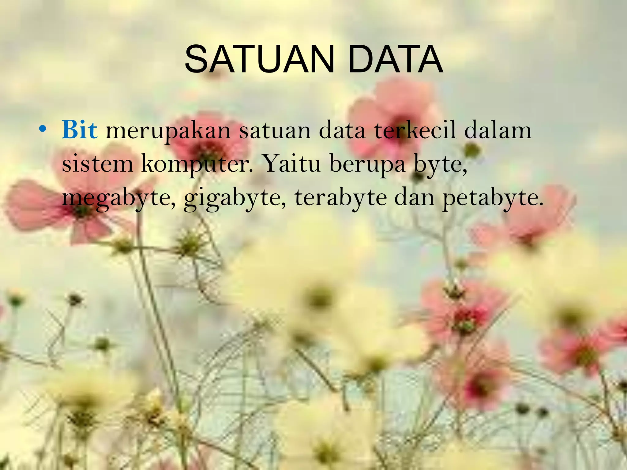 SATUAN DATA
• Bit merupakan satuan data terkecil dalam
  sistem komputer. Yaitu berupa byte,
  megabyte, gigabyte, terabyte dan petabyte.
 