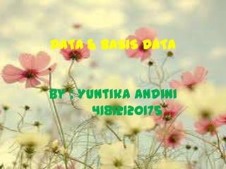 DATA & BASIS DATA


By : Yuntika Andini
       41812120175
 