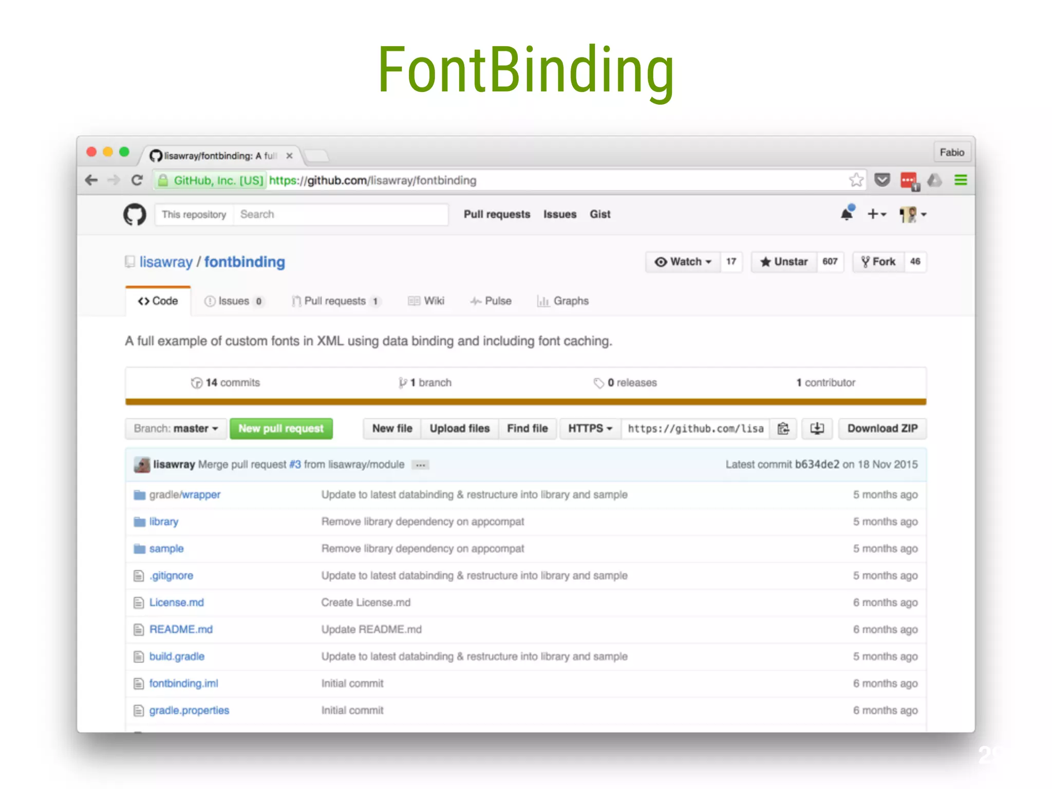 29 FontBinding 